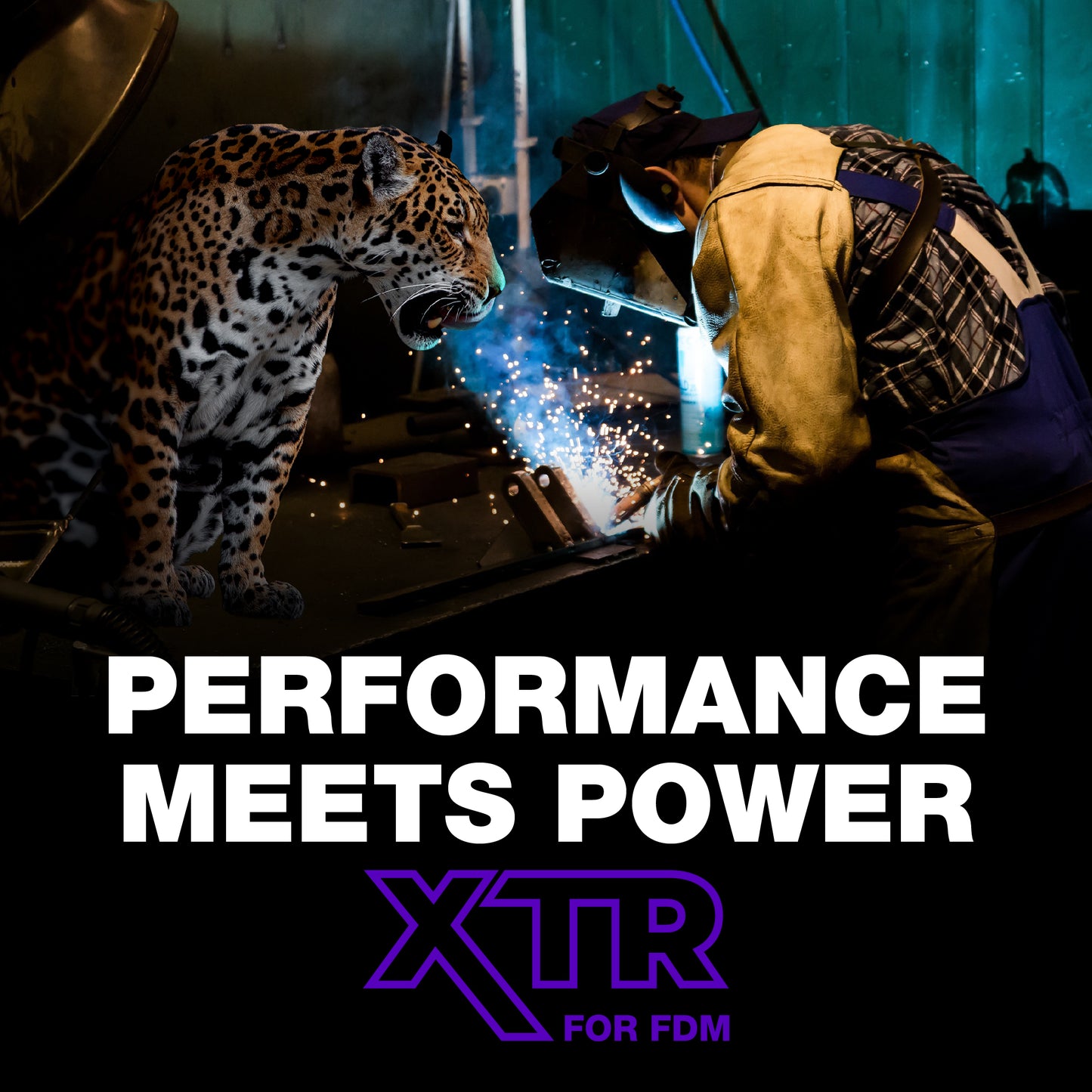 XTR Kit with PEX - Raise3D E2 - 367 x 254