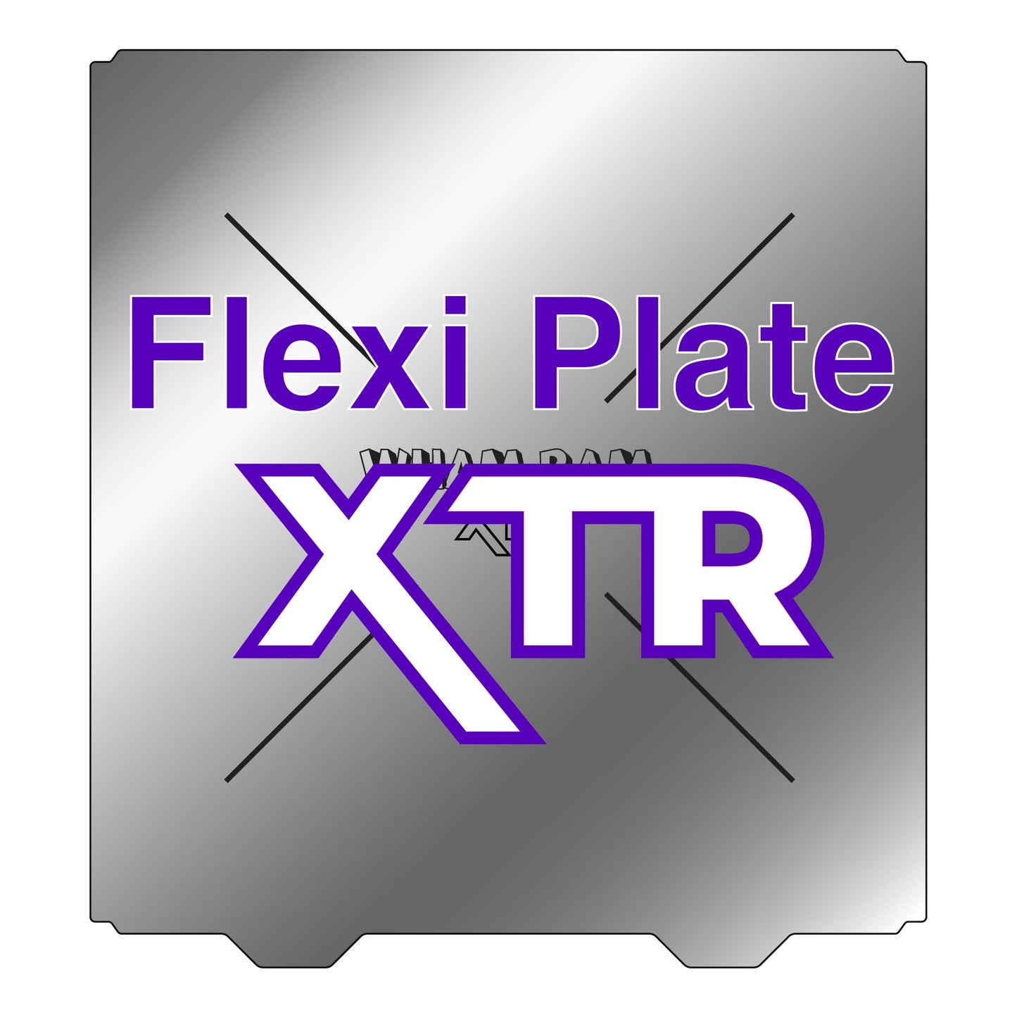 XTR Flexi Plate Only (No Build Surface) - 367 x 347 - Raise3D Pro 3