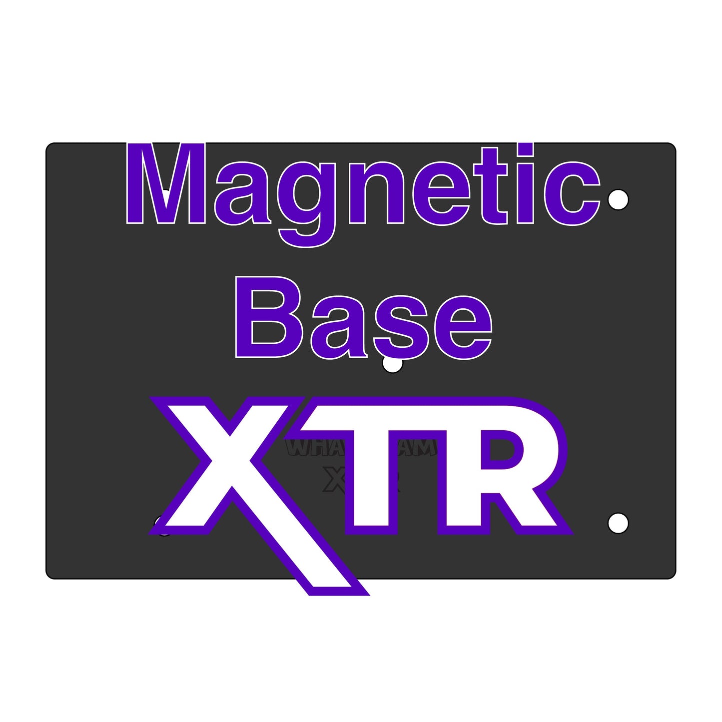 XTR FDM Magnetic Sheet - 367 x 254 - Raise3D E2